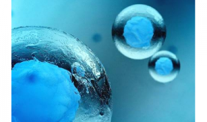 【试管四次没有成功】北海试管做了4次没成功